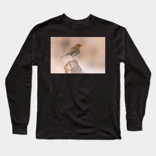 Robin perch Long Sleeve T-Shirt